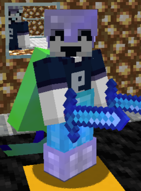 bonkpixil's skin, armor and 2 swords